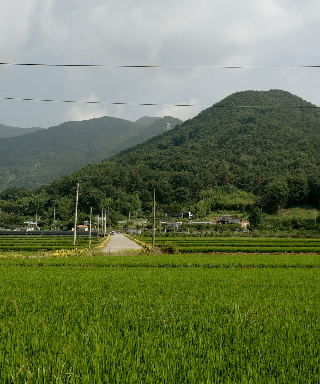 出國讓遠傳原號漫遊帶路，使旅行上網暢行無阻｜韓國吃到飽方案$99起/天