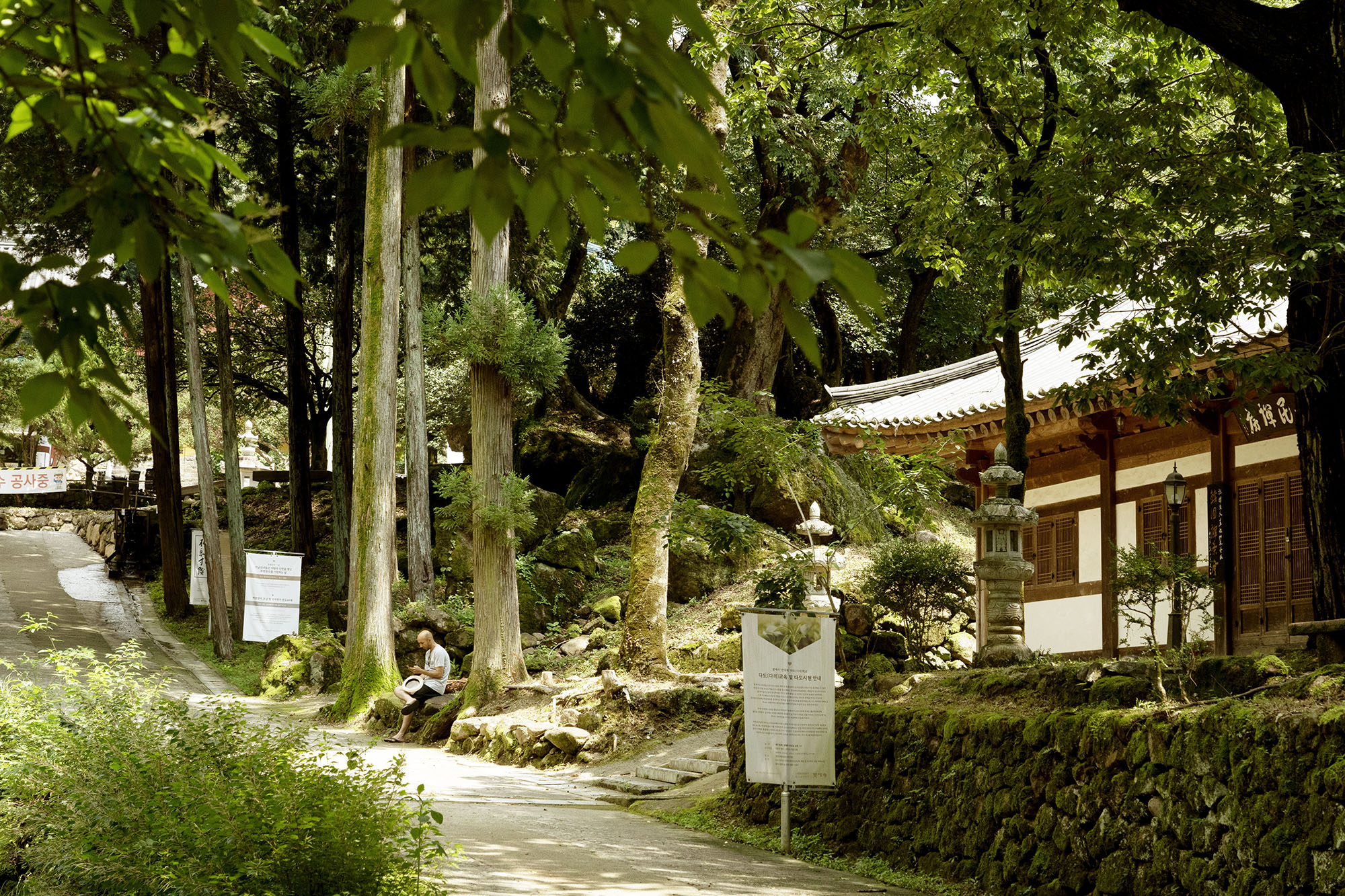 出國讓遠傳原號漫遊帶路，使旅行上網暢行無阻｜韓國吃到飽方案$99起/天