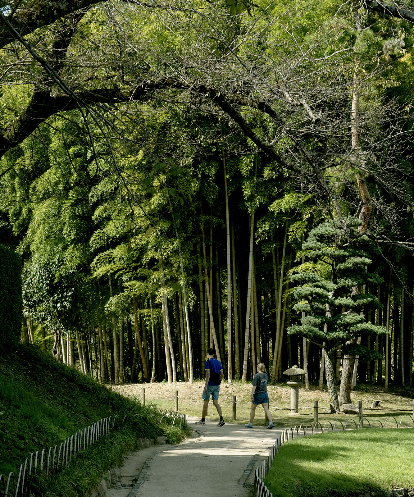 從日本岡山市出發，赴一場森林藝術盛宴｜首屆岡山藝術祭2024